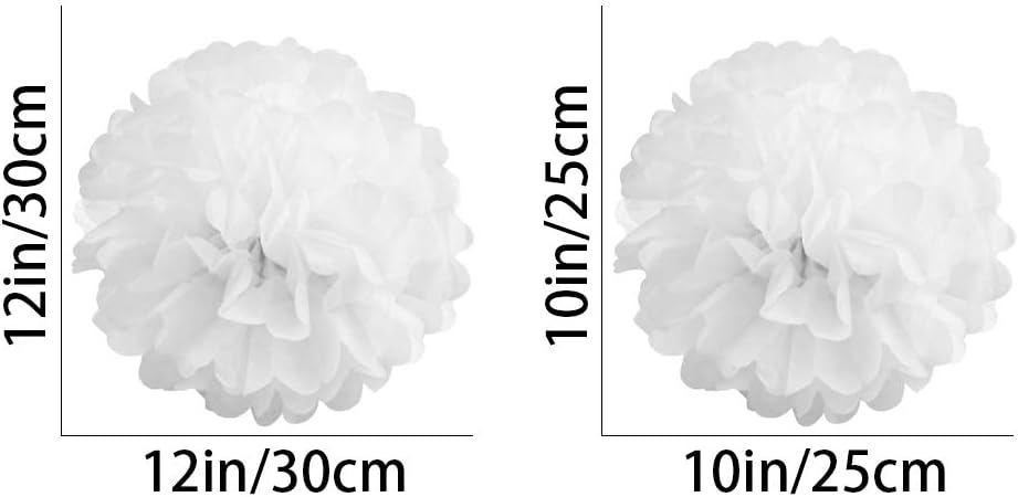 White Paper Pom Poms - Party Tissue Paper Flowers Balls - Party Hanging Decoration Supplies - Size of 10inch, 12inch, Great for Wedding, Birthday, Any Parties and Events (12 PCS)