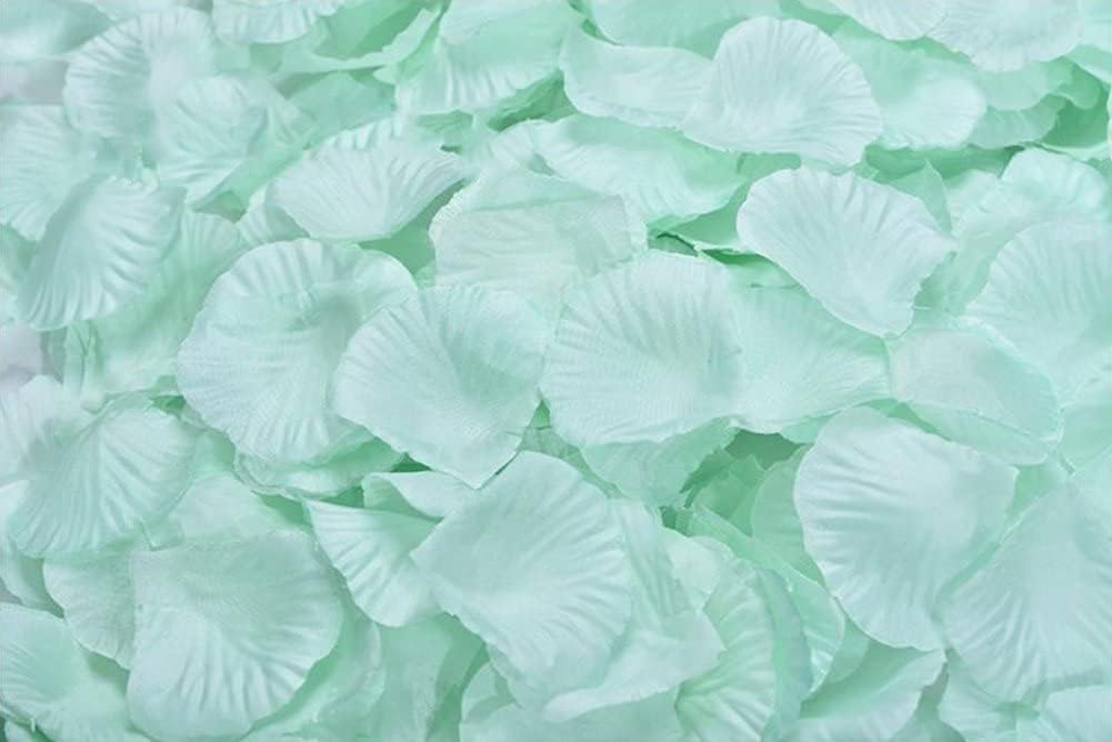 ocharzy 1000 PCS Rose Petals for Wedding, Silk Flower Rose Petals, Romantic Night for Her/Him Set, Engagement, Flower Decorations, Valentine's Day, Events, Party Decor
