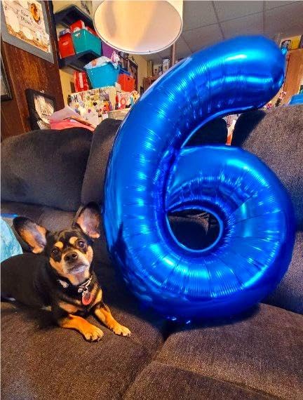 Blue Jumbo Number 60 Balloon 40 Inch, Women Men 60 Birthday Supplies, Foil Helium 60 Birthday Giant Balloon, Mylar Blue Number Balloons Anniversary Decorations