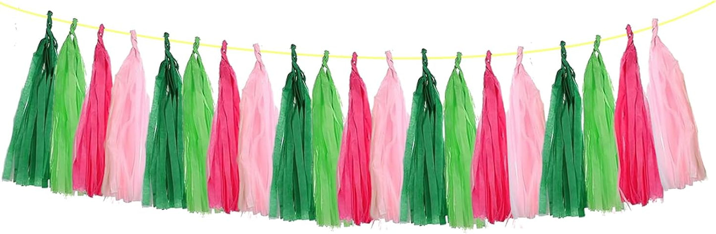 ZOOYOO Tassel Garland Tissue Paper Tassel Banner Table Decor, DIY Kits for Birthday Wedding Engagement,Witch Theme Party,Hawaiian Luau Tropical Party Decorations,Pack of 20 (Pink Green)