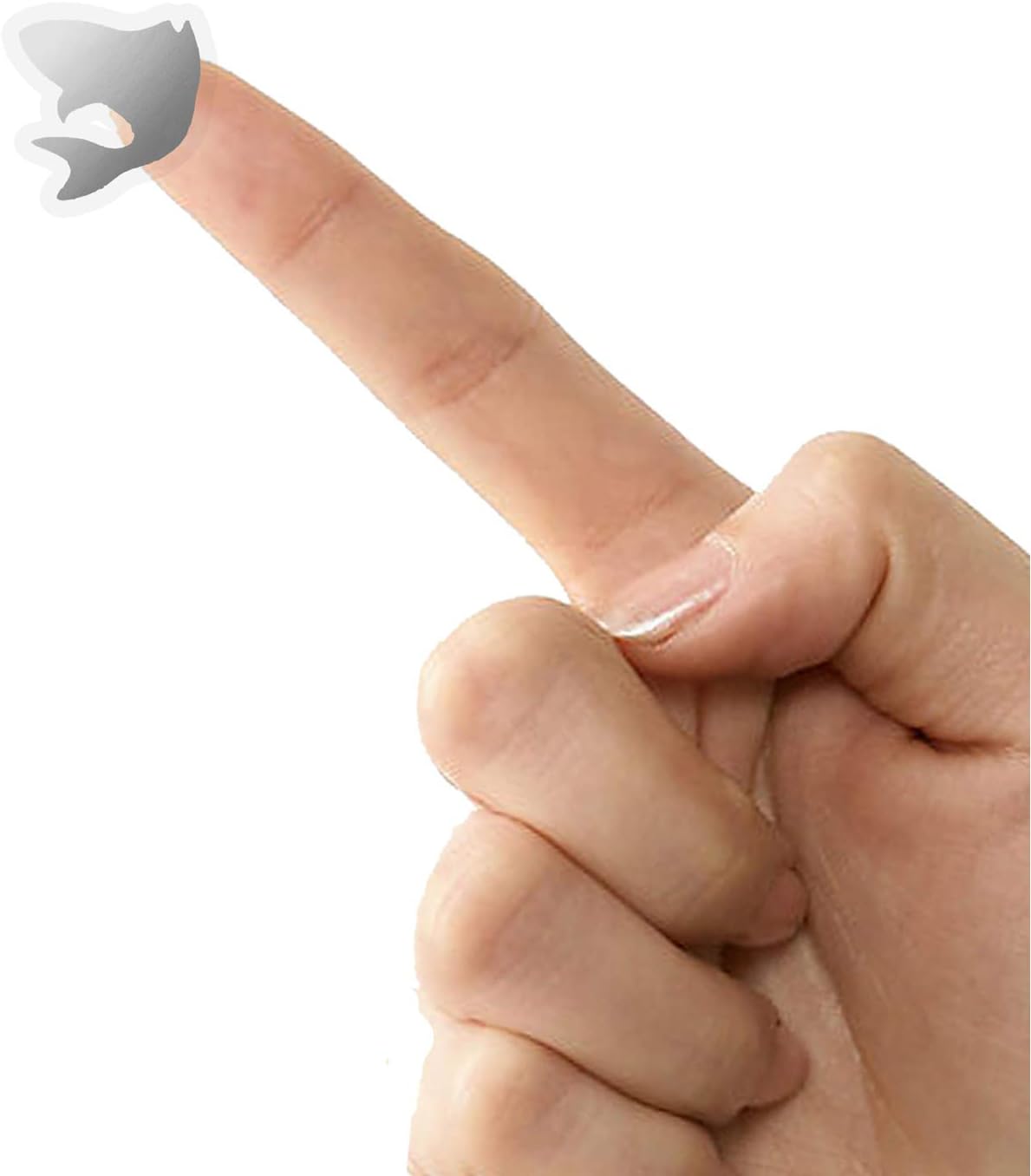 50 Wedding Meal Stickers - Food Identifier & Menu Choice Place Cards for Party Seating - Meal Option Indicator (Silver, Fish)