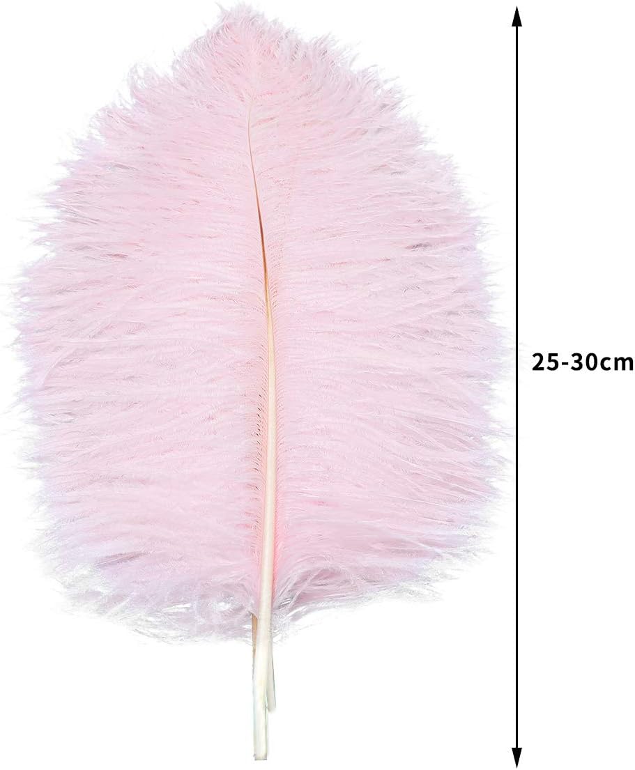 24pcs Natural Light Pink Ostrich Feathers 10-12inch (25-30cm) for Wedding Party Centerpieces，Flower Arrangement and Home Decoration.