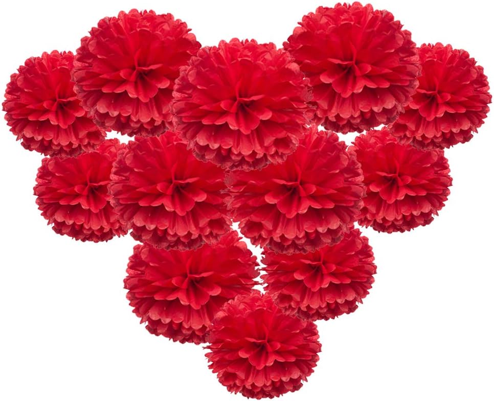 MOWO Red Paper Flower Tissue Pom Poms Party Supplies (red,12pc)