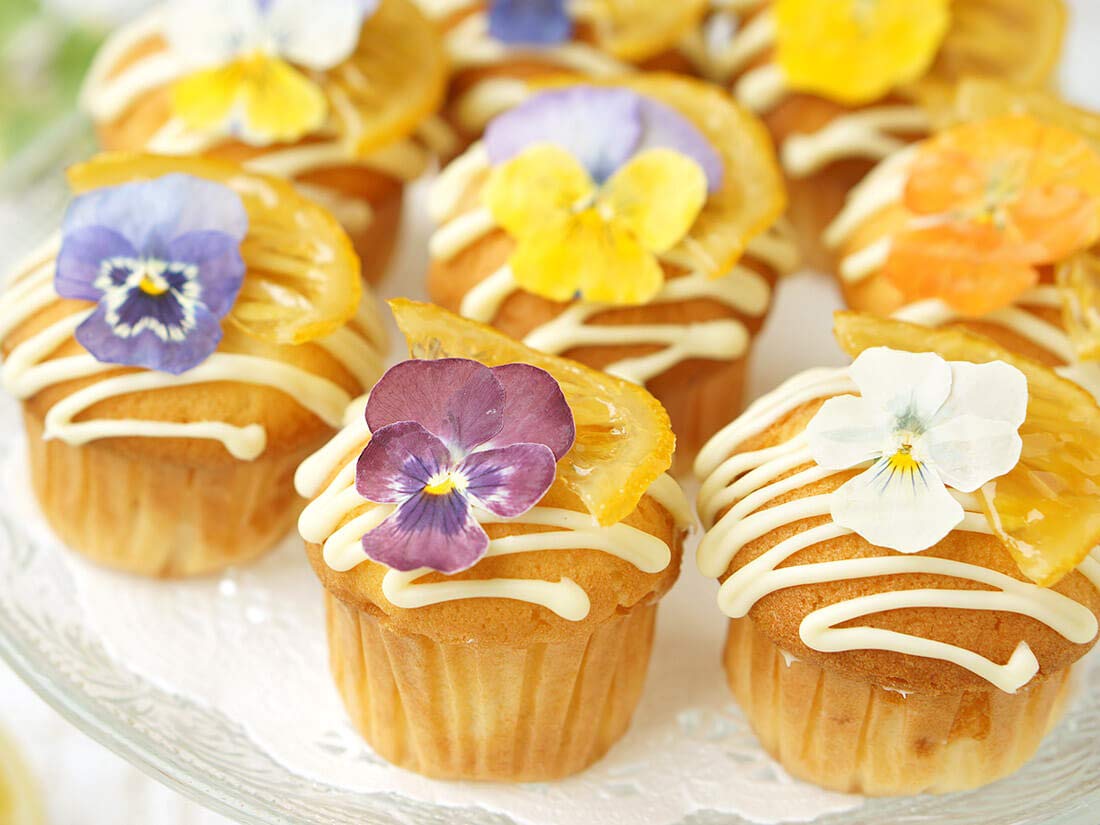 Uzunohana Dried Edible Flowers Viola Mix (50 Petals) | For Cake Decorating | For Garnish | For Culinary | For Cocktail!