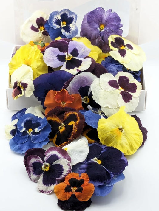 Pansy Edible Flowers for Cocktails & Desserts - 20 USA-Grown Freeze-Dried Flowers for Drink Garnish - Edible Dried Flowers (0.2 oz)