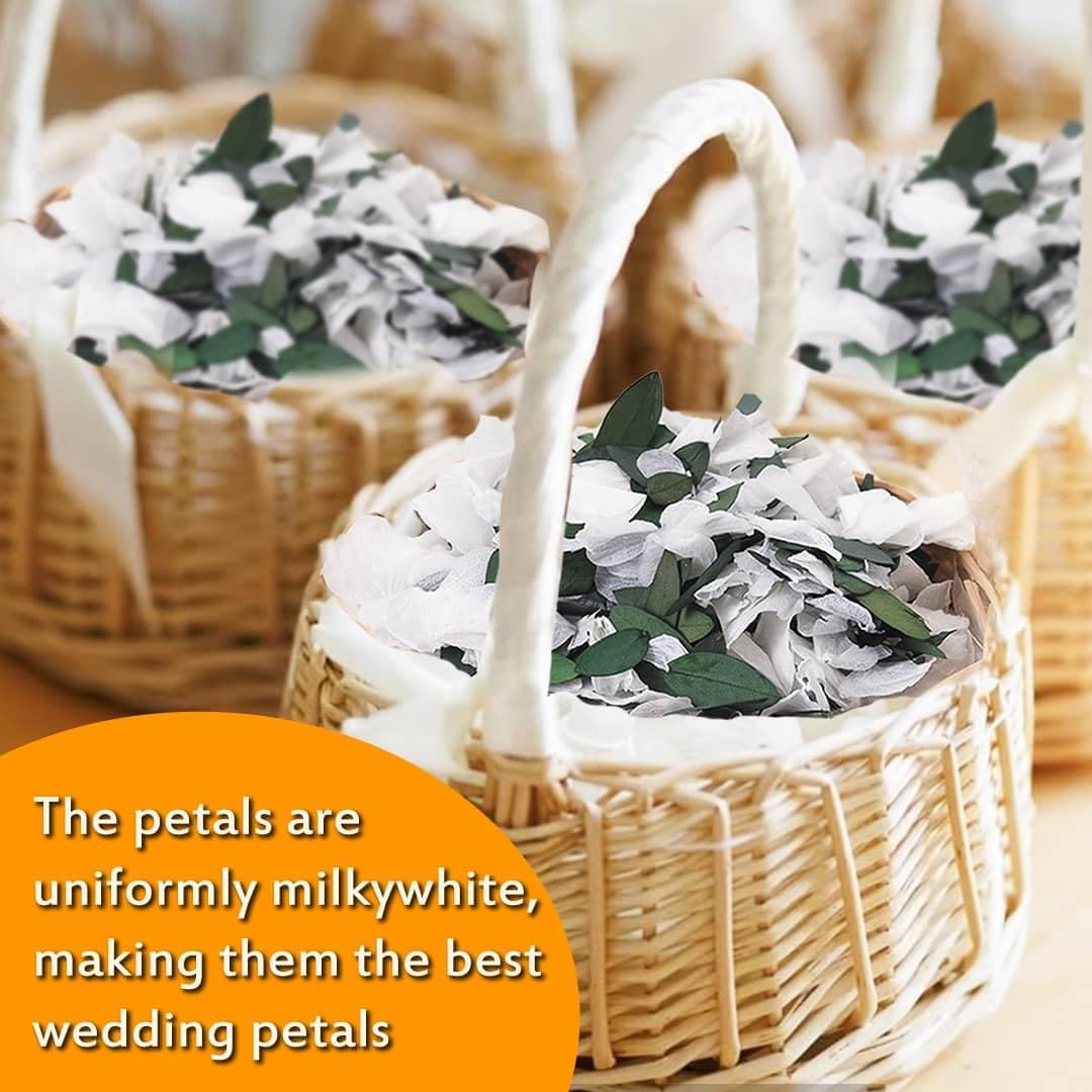 Real Dried Ivory White Hydrangea Flower & Eucalyptus Petals - 3000+ Natural Fragrant Confetti for Wedding, Flower Girl Baskets, Aisle Decor, Scented Sachets, Spring Potpourri Bags, Air Freshener