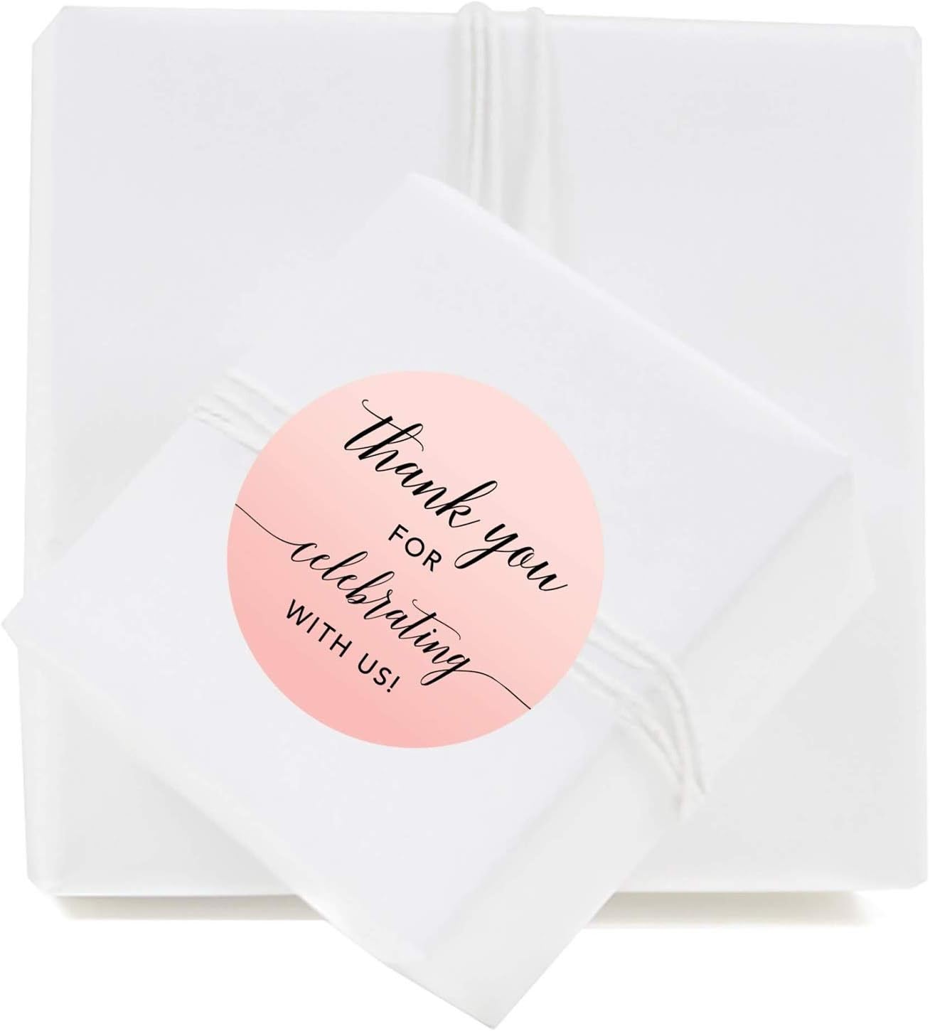 Andaz Press Blush Pink Rose Elegant Party Collection, Round Circle Label Stickers, Thank You for Celebrating with US, 40-Pack, Favors Decor Envelope Seals