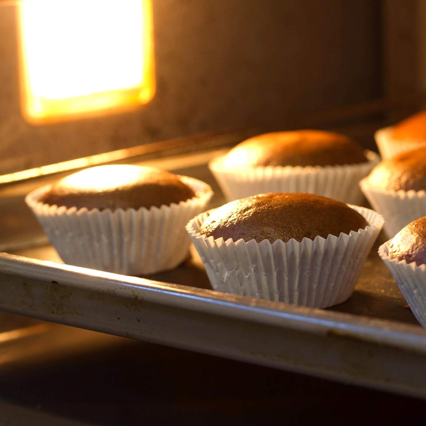 Baking Cups Cupcake Liners, Standard Sized, 300 Count (White)