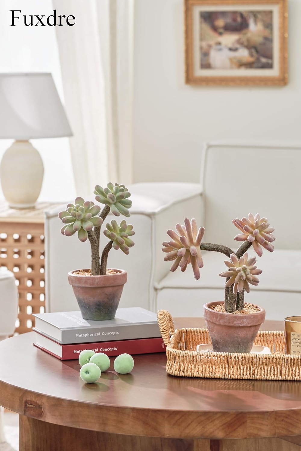 2-Pack Artificial Succulent Plants in Vintage Plastic Pots - Waterproof Fake Succulents Decor for Home, Office, Desk - Low Maintenance Indoor Plants for Bathroom, Shelf, Table Decor