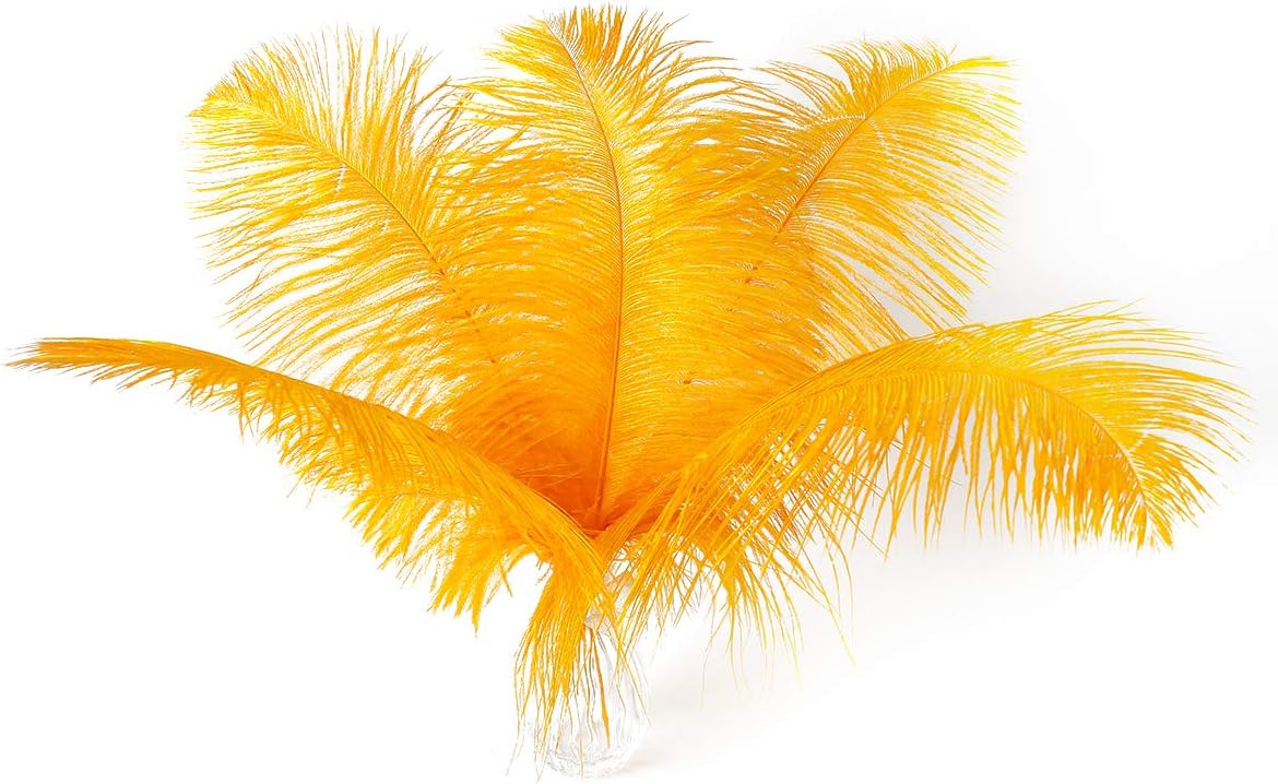Ballinger Big Gold Ostrich Feathers - 24Pcs 8-10inch Feathers for Crafts,Party Centerpieces Mardi Gras and Home Decor