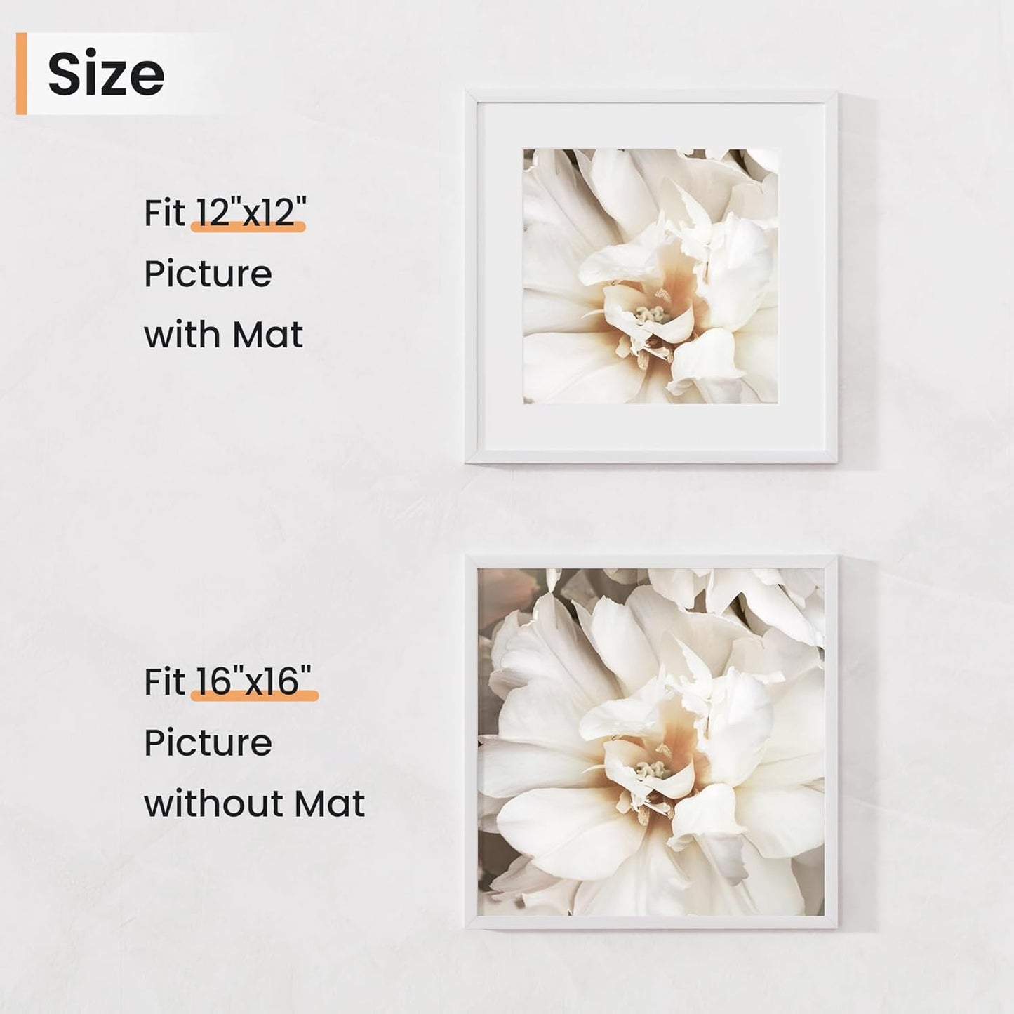 16x16 inch Picture Frame, 16x16 Photo Frames with 12x12 Removable Mat - High Definition Plexiglass - Vertical and Horizontal Display - Wall Hanging Frame - White, 5 Pack