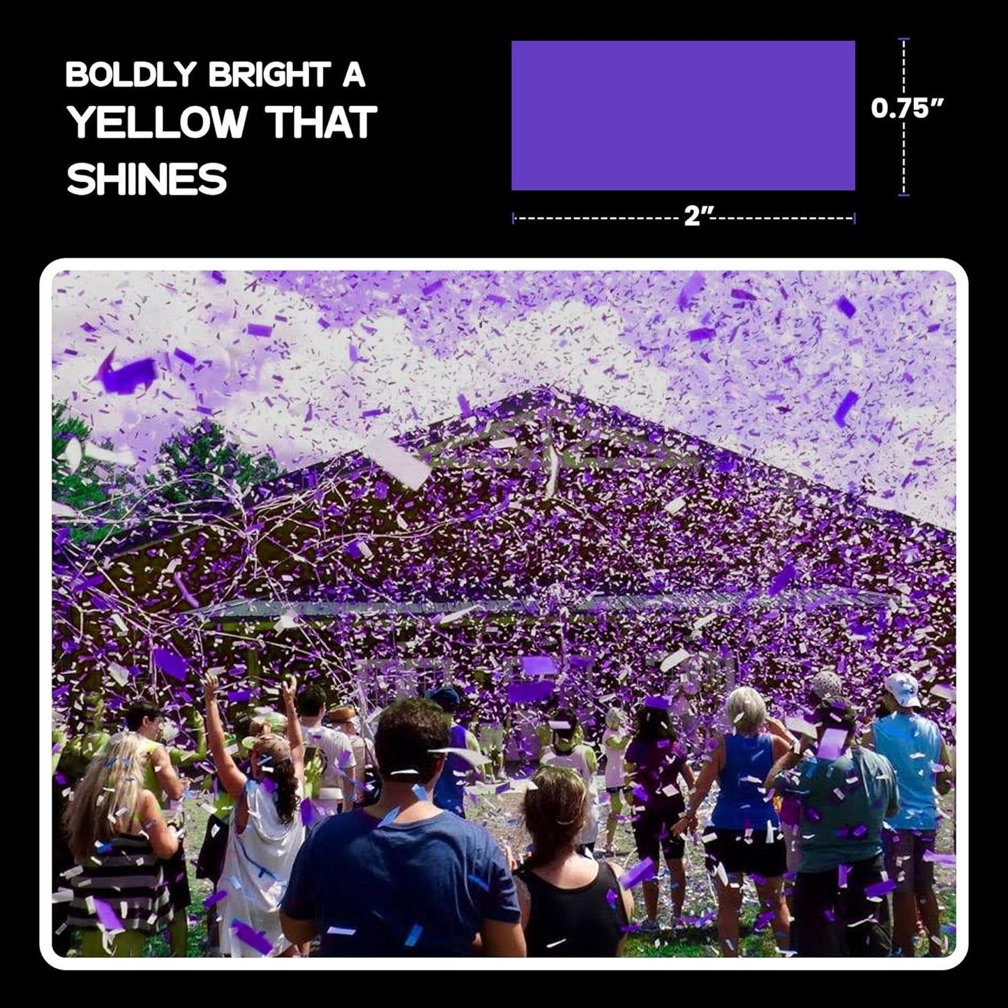 Ultimate Confetti, Purple Biodegradable Confetti - Rectangular Fluttering Tissue Paper Confetti for Cannon and Launcher use – Best for Gender Reveal, Parties, Concerts and Weddings - 20 lb, 320 oz