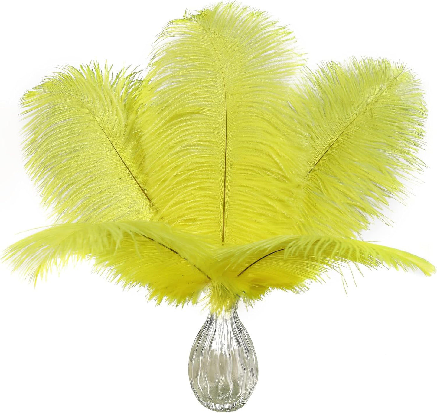 Ballinger Fluorescent Yellow Ostrich Feathers - 24Pcs 8-10inch Feathers Bulk for Vase, Party Centerpieces, Mardi Gras Decorations and Home Decor