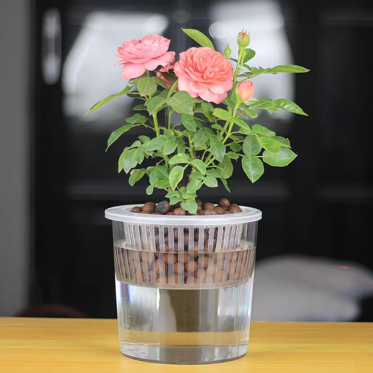 3 Acrylic Cylinder Clear Vase, Extra Large Unbreakable Plastic Flower Vases for Home Decor Centerpieces Hydroponic Plant Flower Shop Decorative (D 9.8" -D7.9 -D D6)