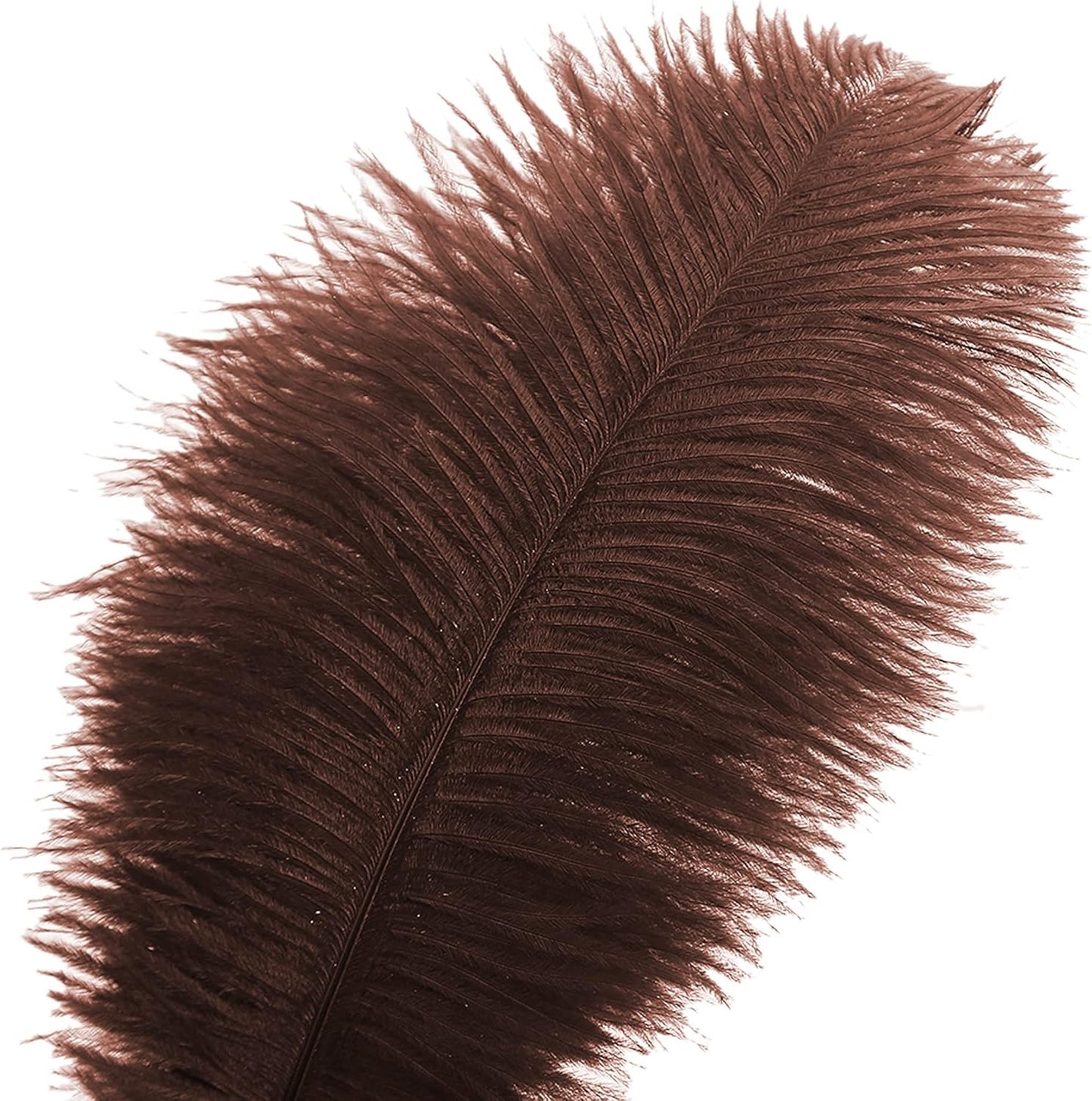Ballinger Brown Ostrich Feathers Bulk - 24pcs 10-12inch Boho Feathers for vase，Wedding Party Centerpieces and Home Decor