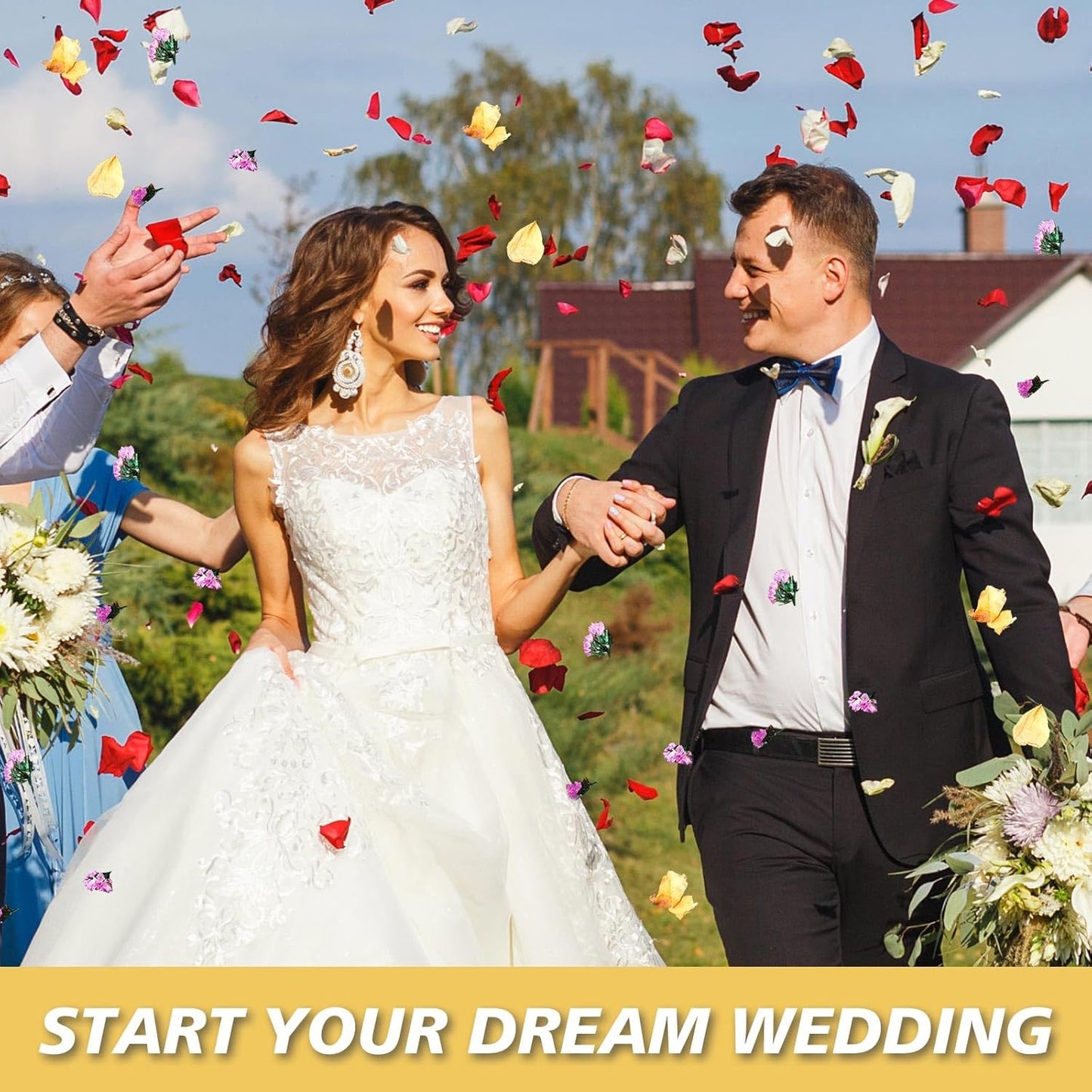 20+ Cups Real Dried Flower Petals, Biodegradable Wedding Flower Confetti, Mix Rose Petals and Purple Static Flowers for Engagement, Valentine's Day, Bath, Flower Girl Party Dinner Table Decor