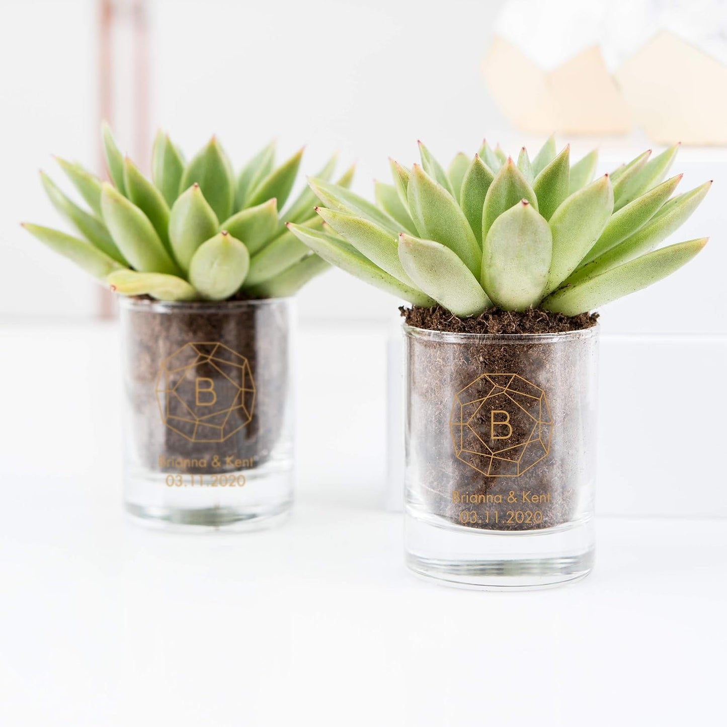 WEDDINGSTAR Personalized 2.75oz Shot Glass Customizable Full Color Print - 48 pack