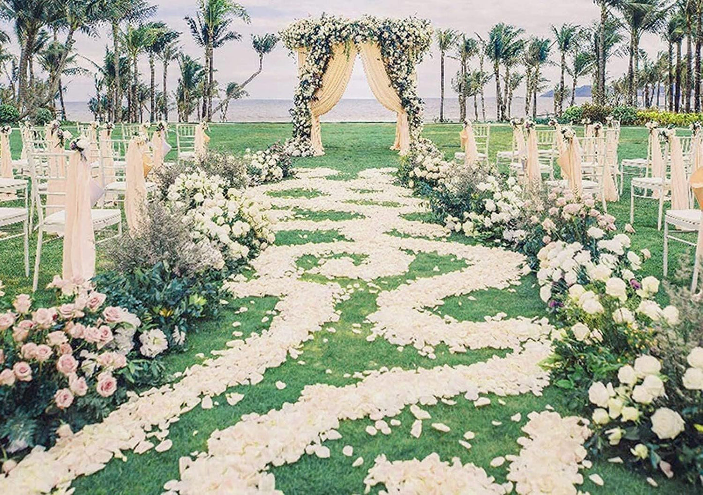 ocharzy 1000 PCS Rose Petals Fake Rose Petals for Romantic Night, Wedding Flower Decoration, Party, Events (Cream)