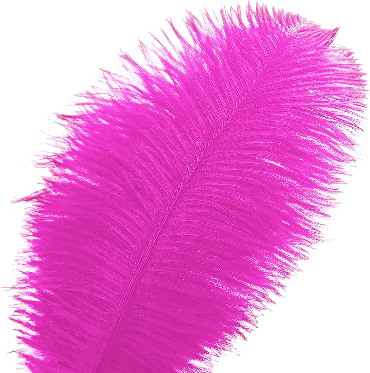Ballinger Fuchsia Large Ostrich Feathers - 24pcs 10-12inch Craft Feathers Bulk for r Party Centerpieces, Flower Arrangement and Home Decor