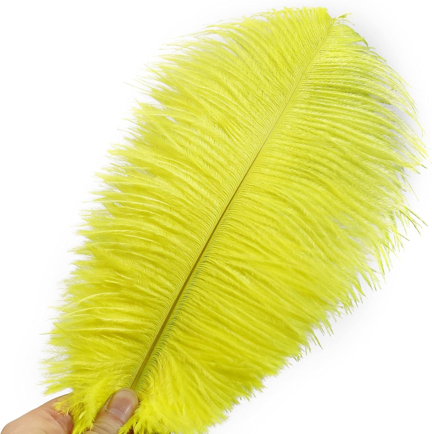 Ballinger Fluorescent Yellow Ostrich Feathers - 24Pcs 12-14inch Long Feathers Bulk for Vase, Party Centerpieces, Mardi Gras Decorations and Home Decor