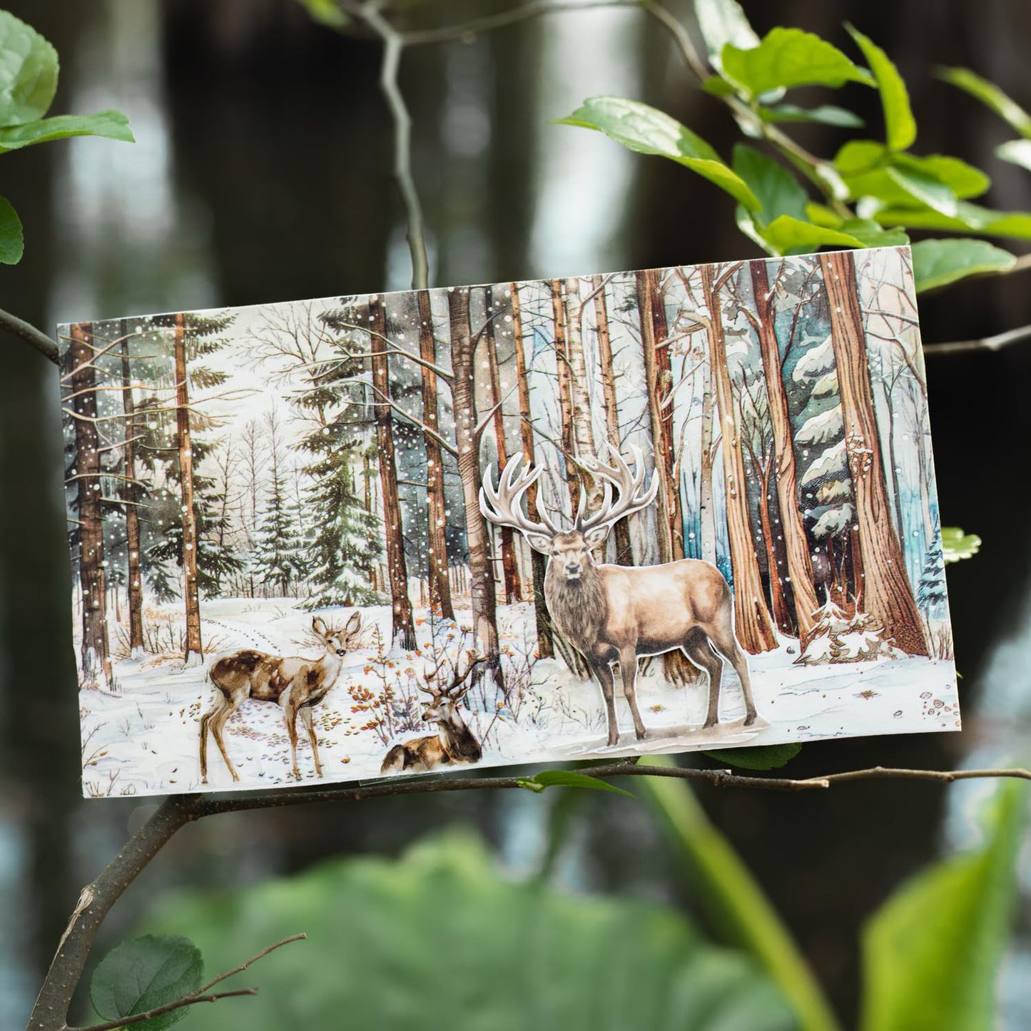 Forest Washi Tape Set, 6 Rolls Tree Landscape Stickers with Clip for Scrapbooking, Journaling and Planner Supplies