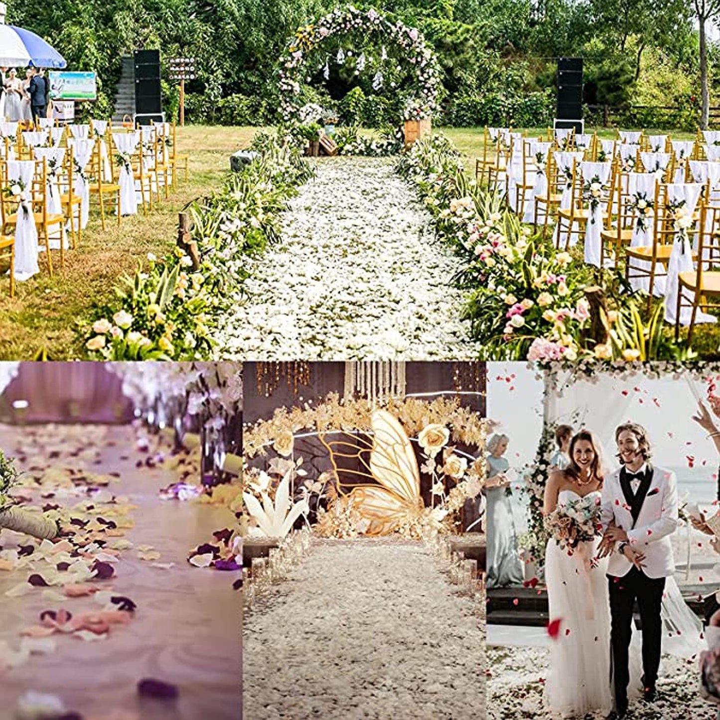 ocharzy 1000 PCS Rose Petals Fake Rose Petals for Romantic Night, Wedding Flower Decoration, Party, Events (A-Champagne)