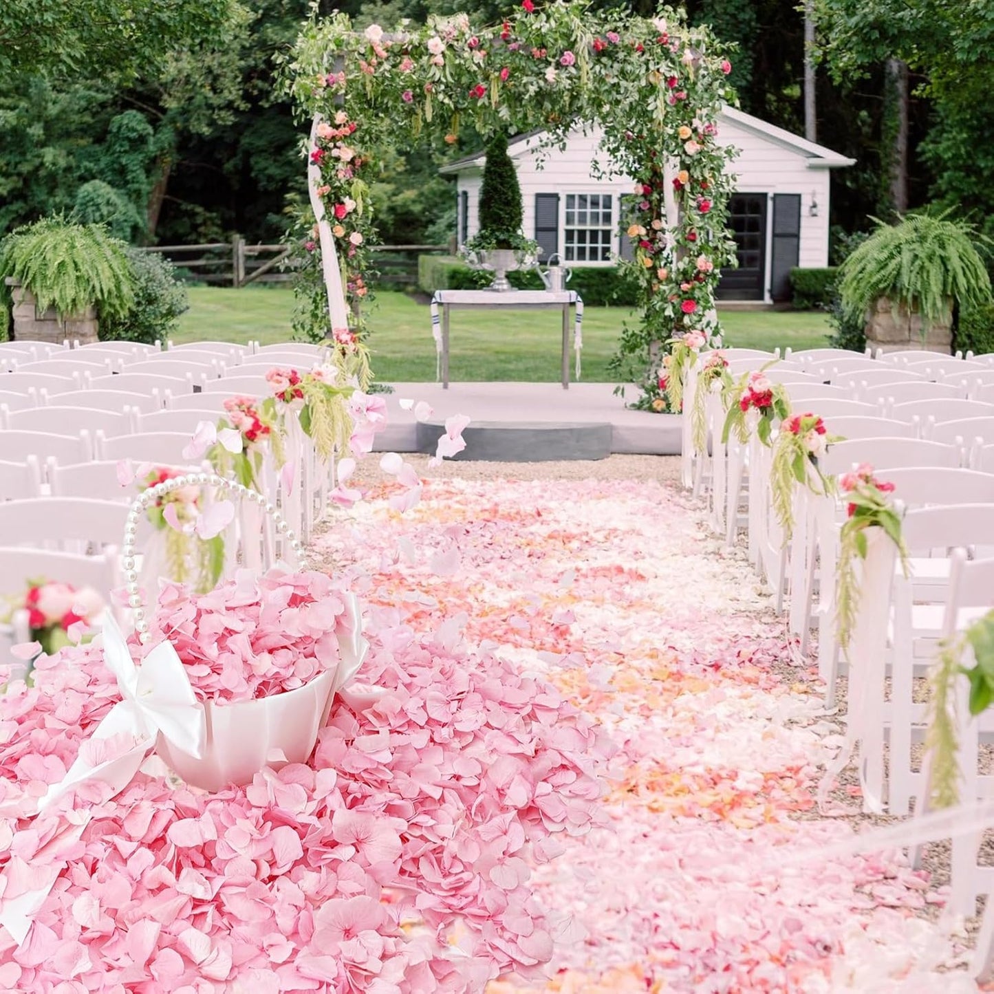 1500Pcs Real Hydrangea Pink Dried Flower Petals - 1.06 oz Natural Dried Pink Petals for Romantic Night, Her Set, Proposal Decor, Flower Girl Basket (30g)